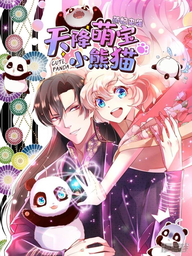 天降萌宝小熊猫：萌妃来袭