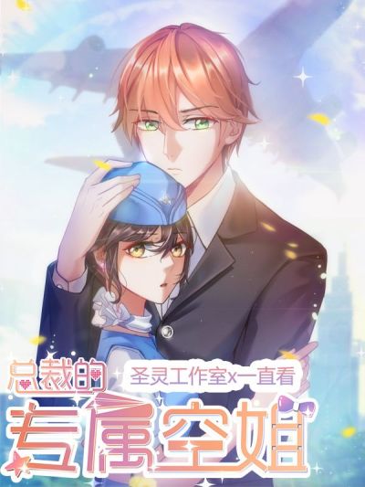 总裁的专属空姐