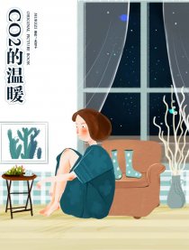 CO2的温暖