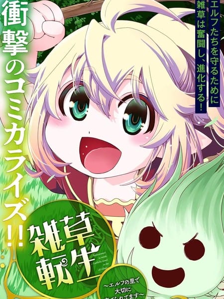 转生杂草～在精灵村庄被精心抚养～