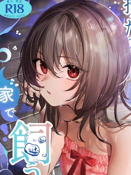 ずぶ濡れの猫系ギャルを拾ったので家で饲うことにします